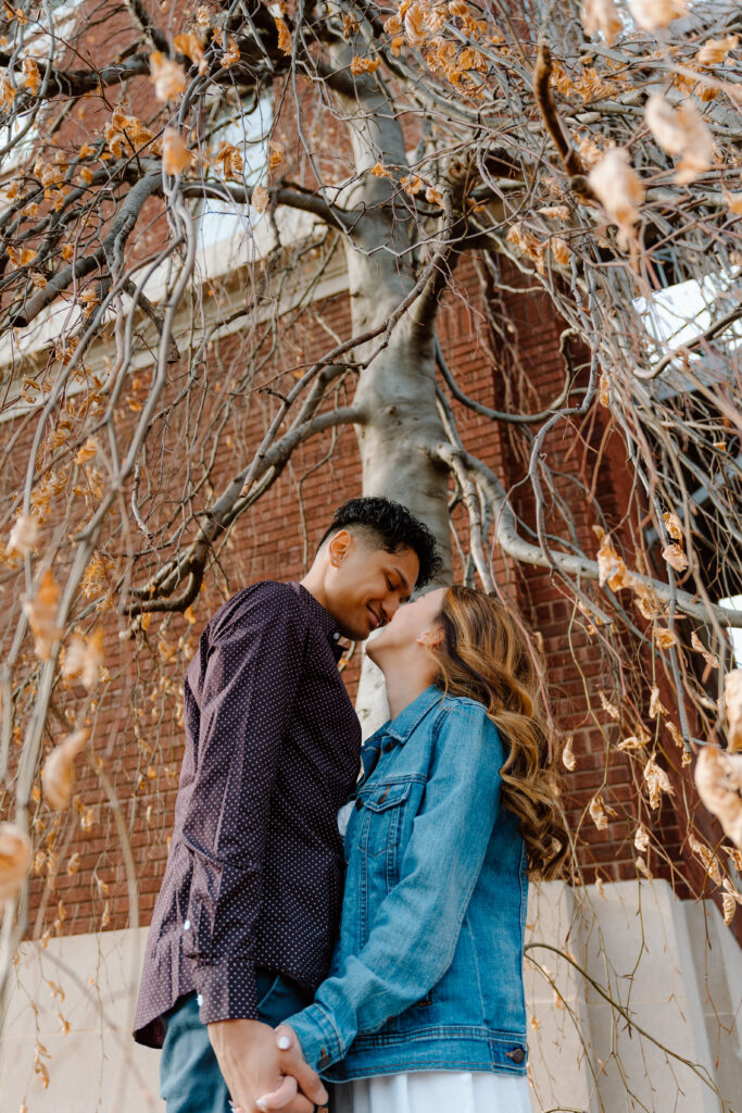 engaged couple under a tree in holland, michigan kissing